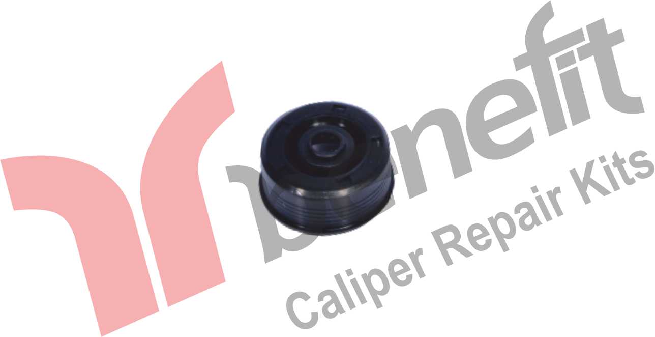 Kaliper Kapak Keçesi