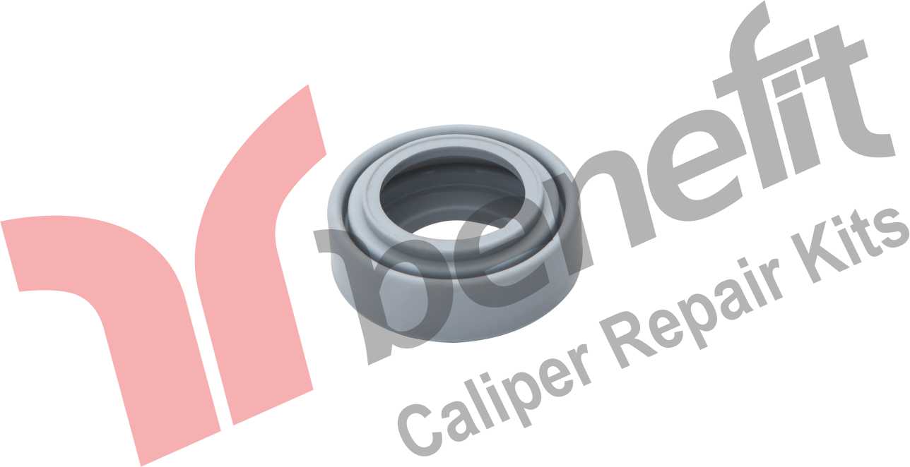 Kaliper Toz Lastiği