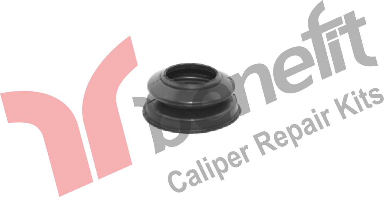 Kaliper Toz Lastiği