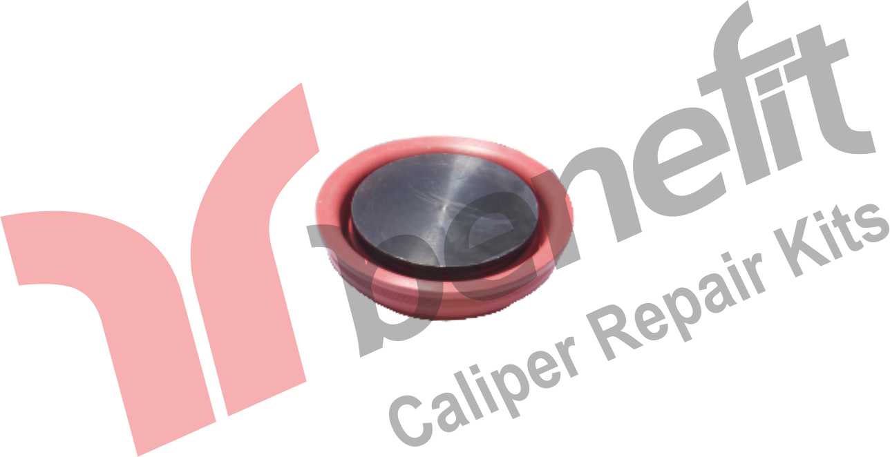 Kaliper Pabuçlu Lastik 69/54mm