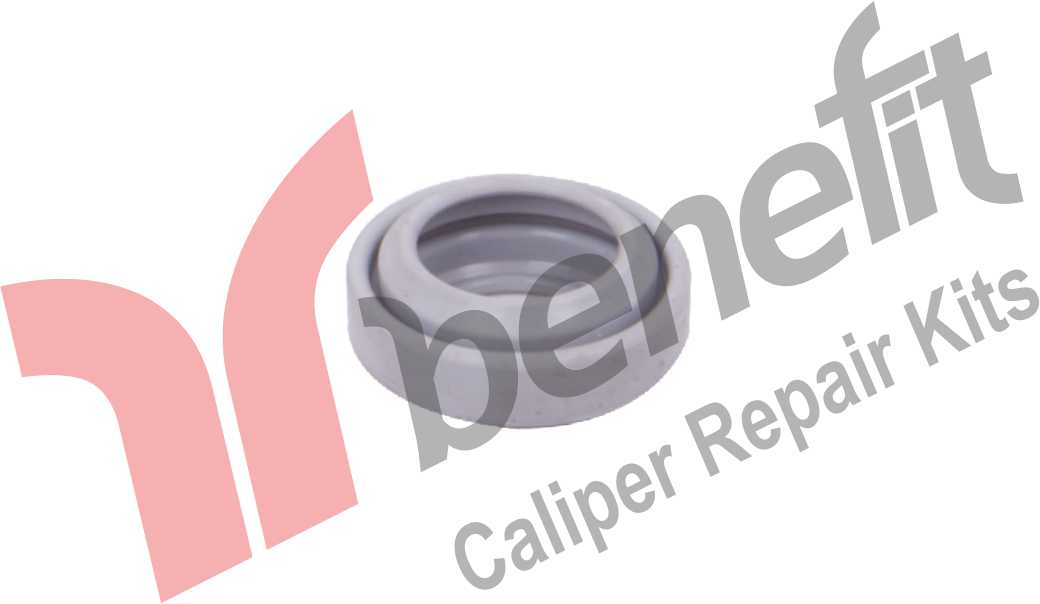 Kaliper Toz Lastiği