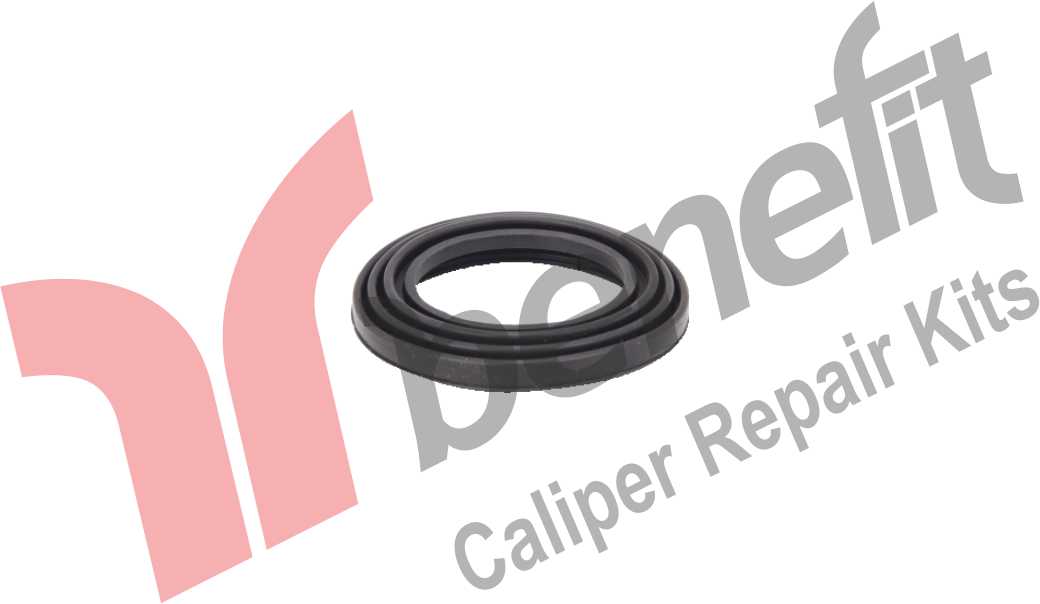 Kaliper Piston Lastiği