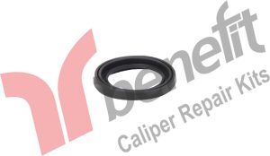 Kaliper Piston Lastiği