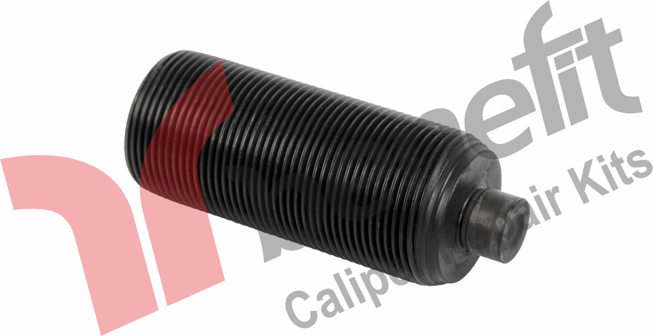 Kaliper Ayar Vidası