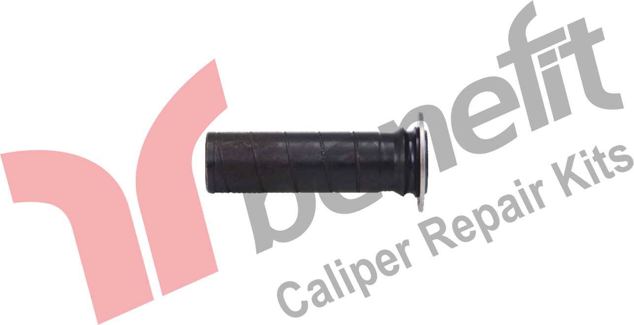 Kaliper Pernosu 20x80