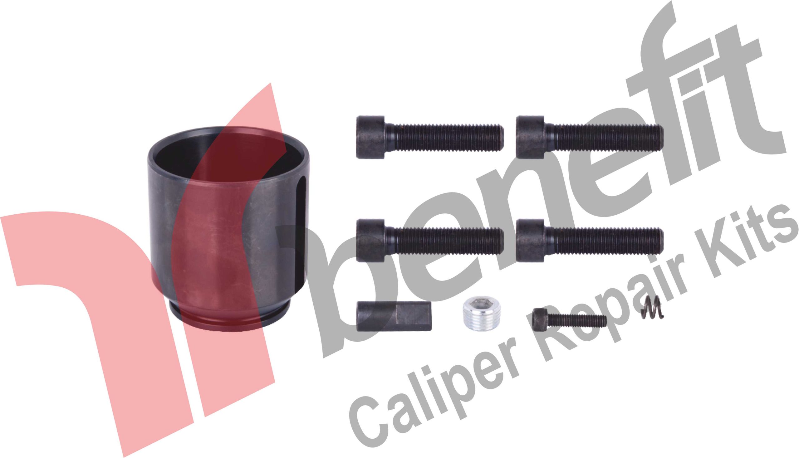 Caliper Piston Repair Kit -R-