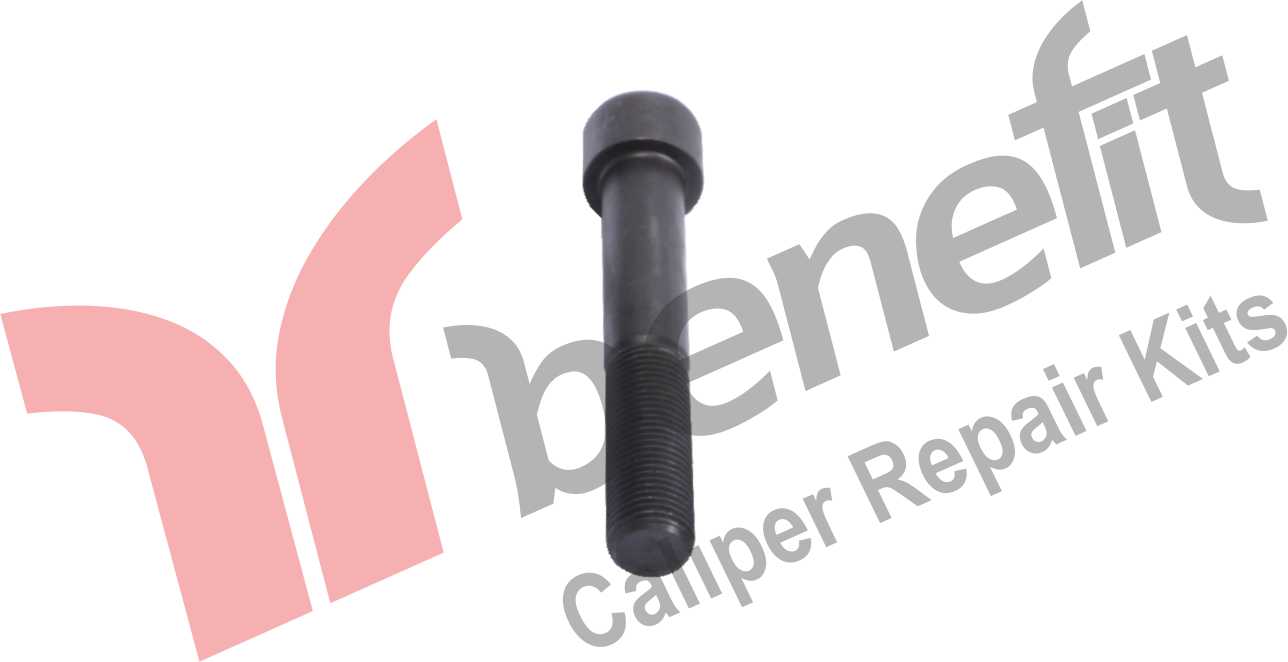 Caliper Bolt M20x2x125mm