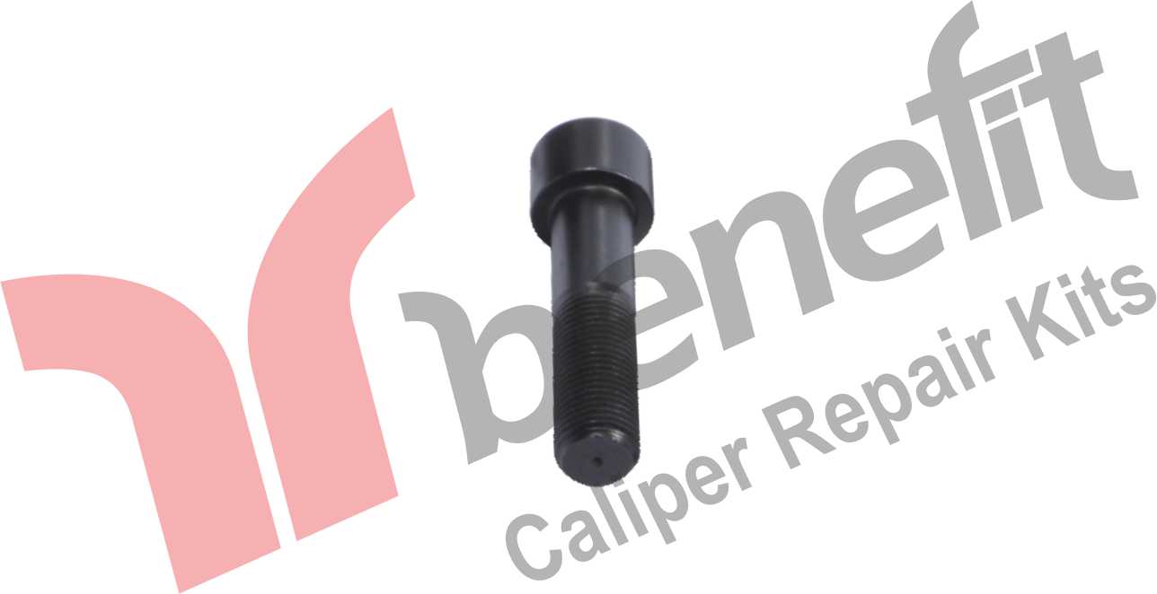 Caliper Bolt M20x2x80mm