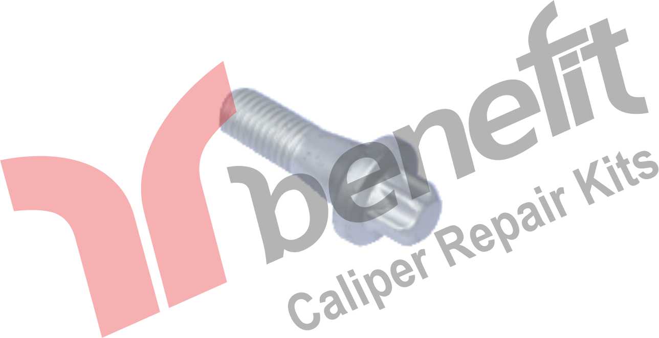 Caliper Bolt M14x42x2