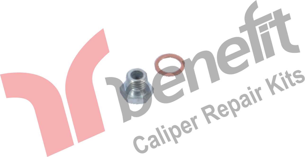Caliper Bolt  & Washer
