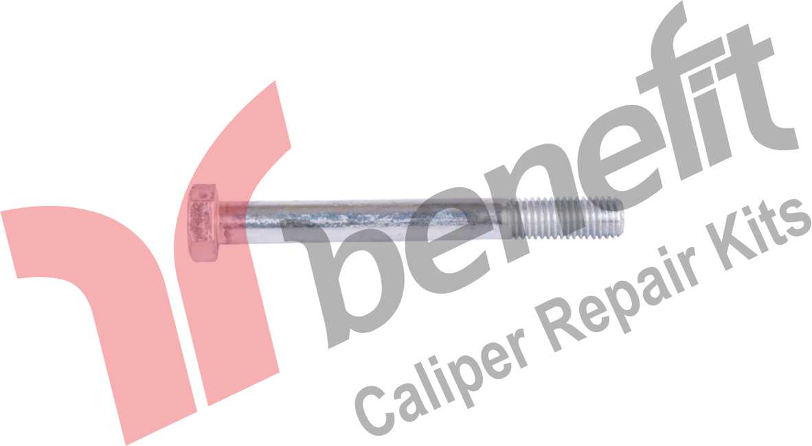 Caliper Bolt M12x1,75x110