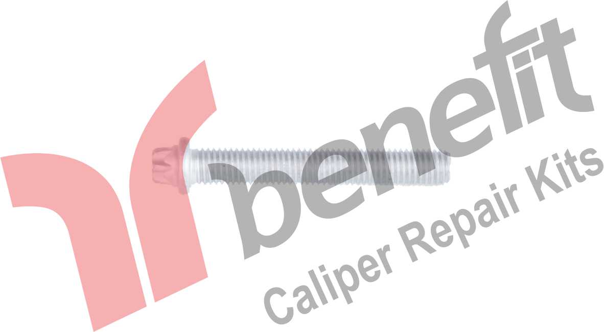 Kaliper Vidası M10x1,5x60mm