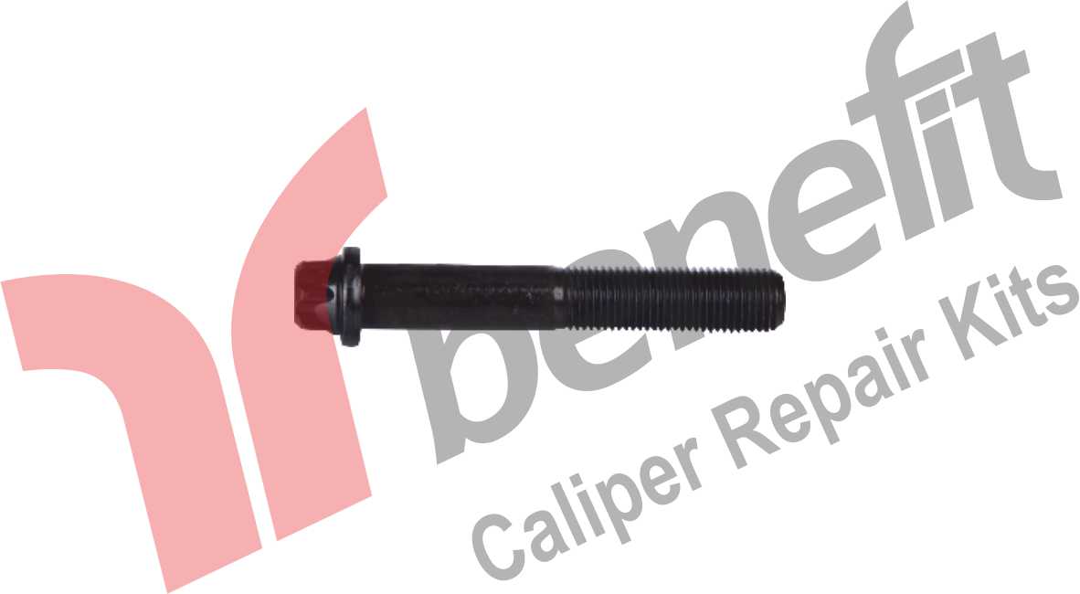 Kaliper Kapak Vidası M14x1,5x90