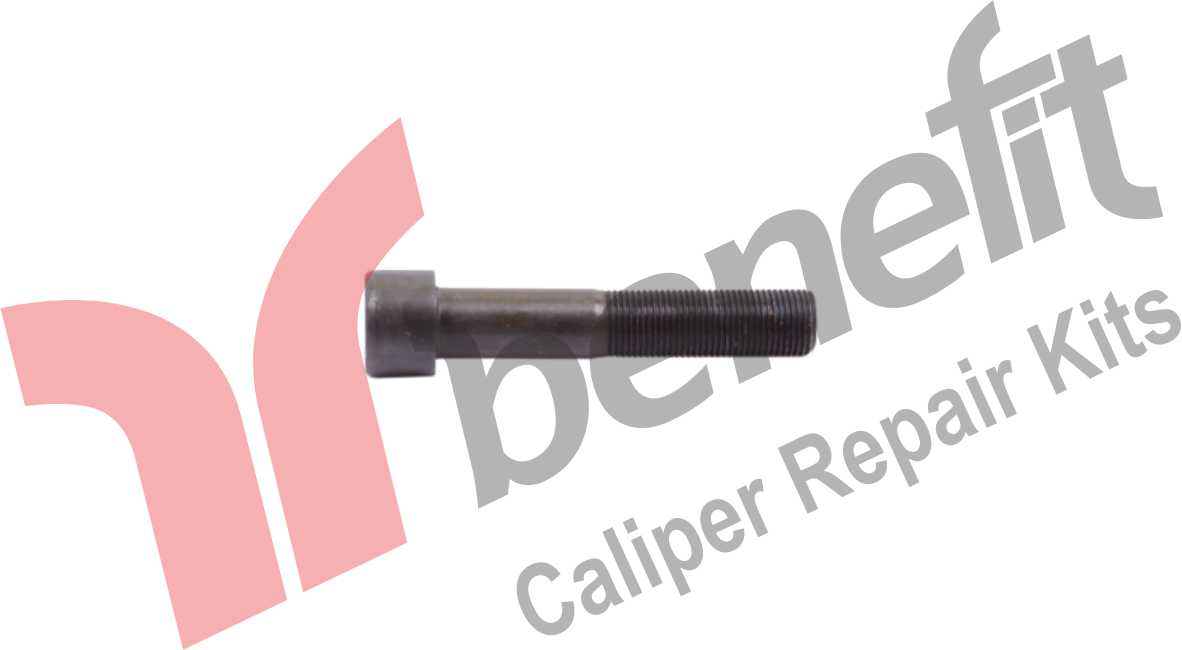 KALİPER VİDASI 18X1,5X95