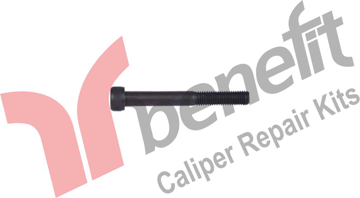 Caliper Bolt M8x1,25x70 mm