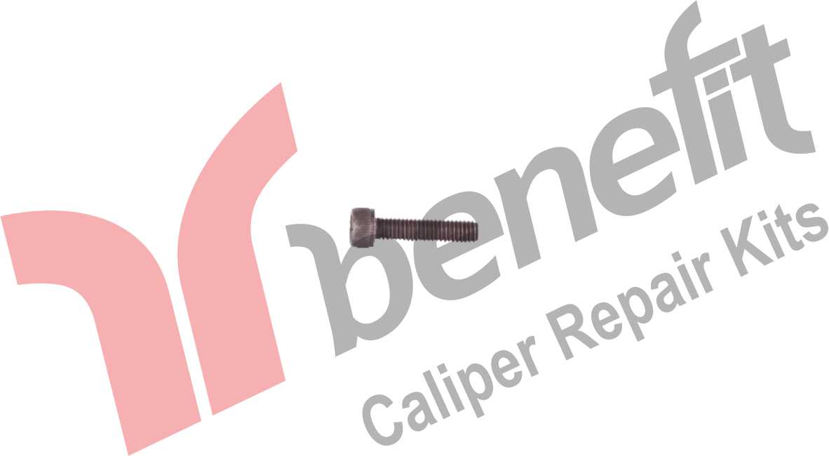 Kaliper Vidası M6*1*25