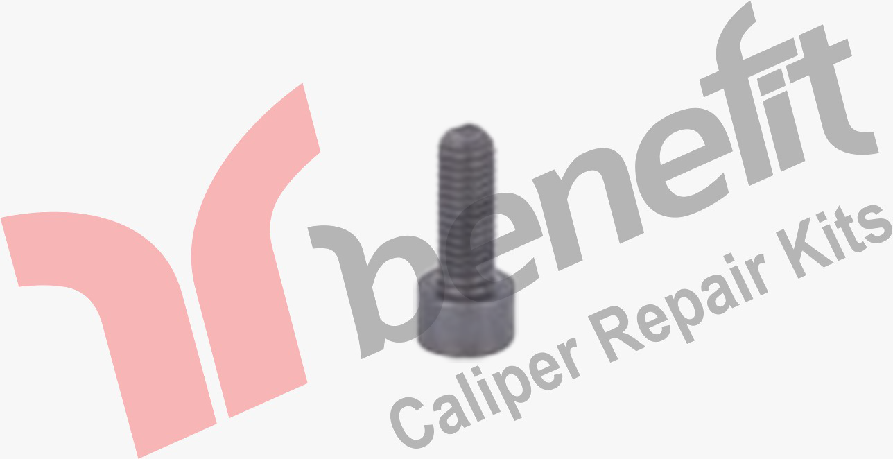 Kaliper Vidası M8x1,25x20