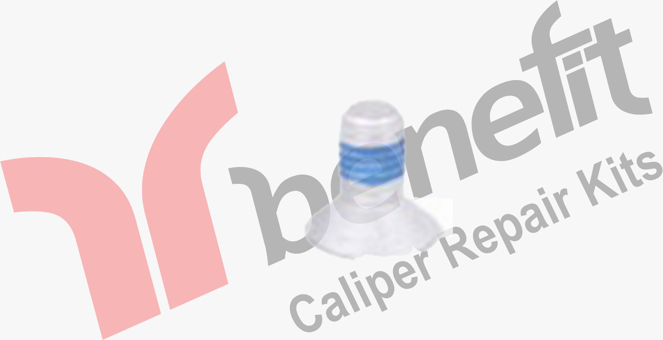 Kaliper Vidası M10x1,5x20