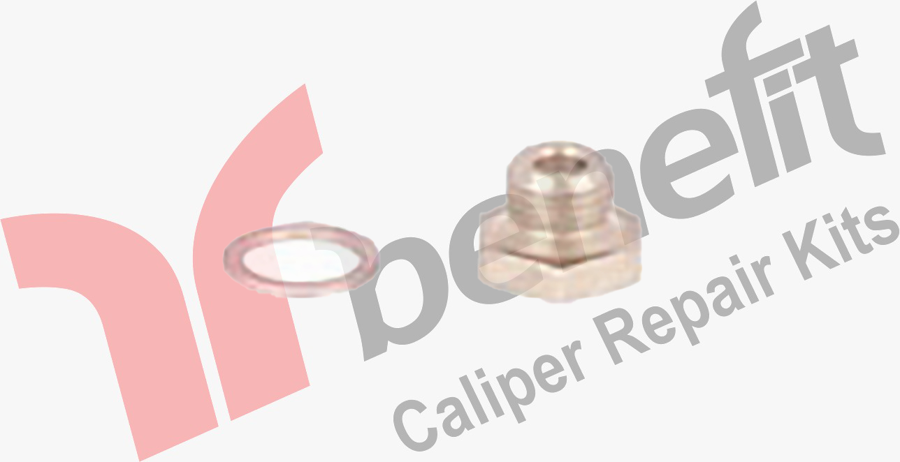 Caliper Bolt & Washer