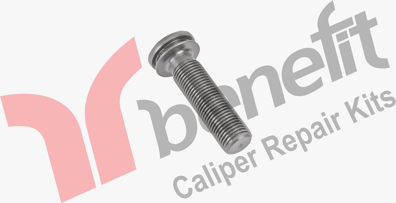 Kaliper Ayar Vidası Sol