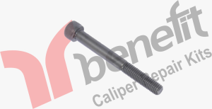 DX195 Hakeret Kol Vidası M8x60mm