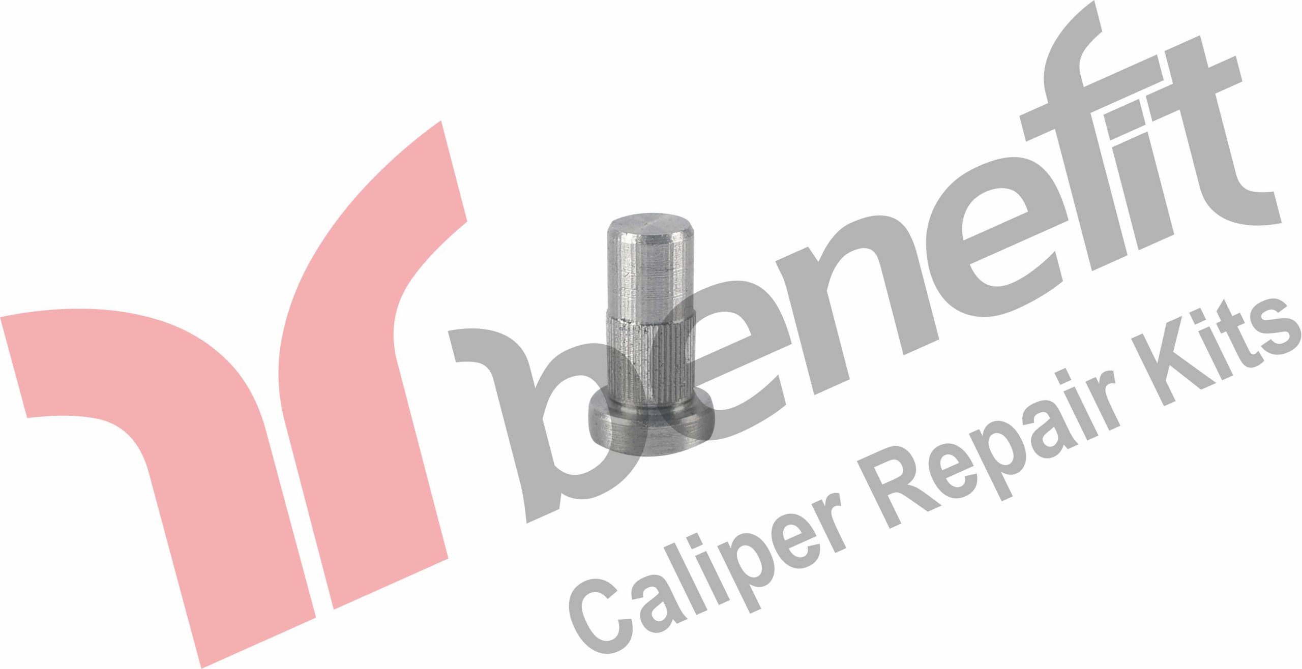 Caliper Metal Cover Bolt