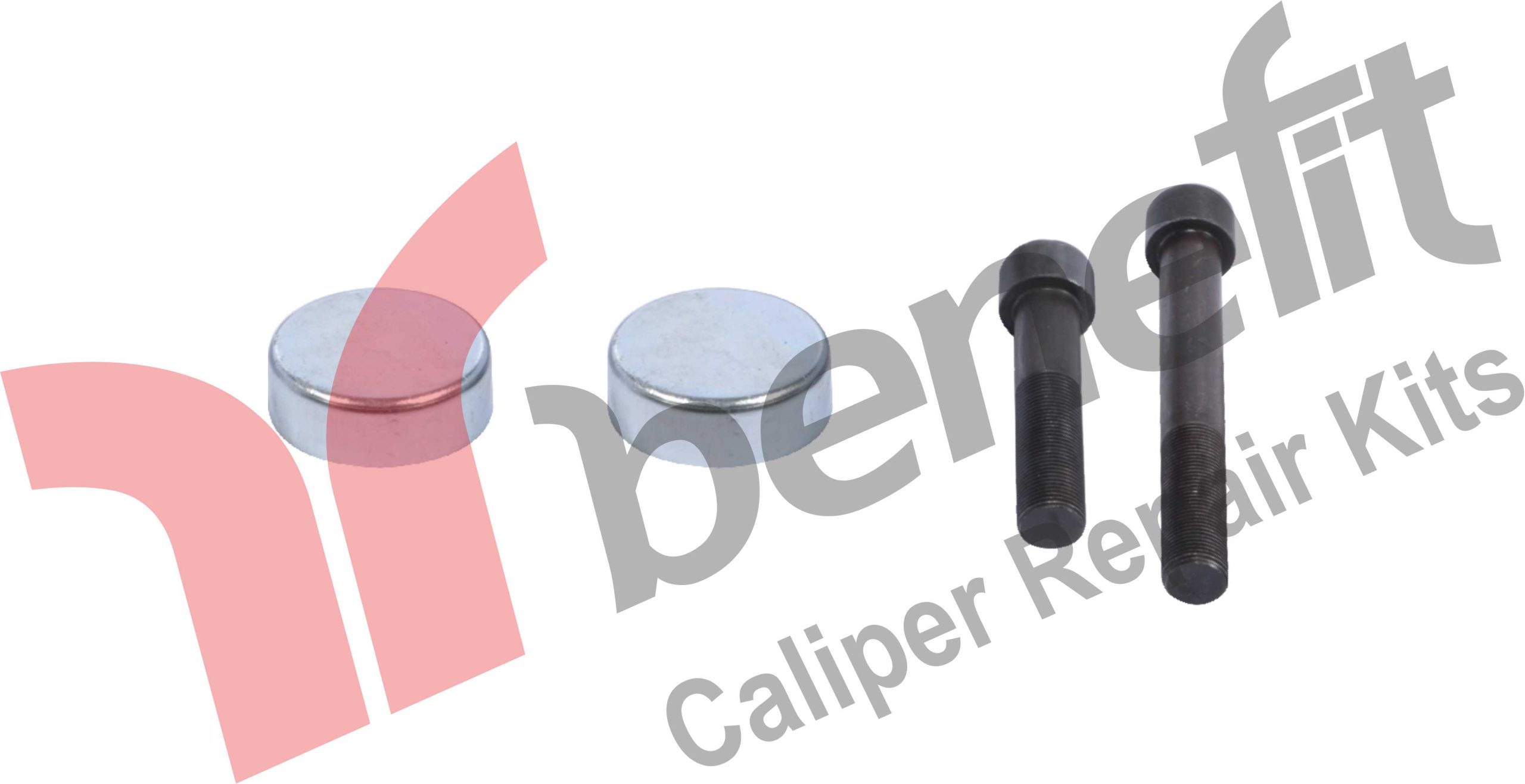 Kaliper Perno Tamir Takımı