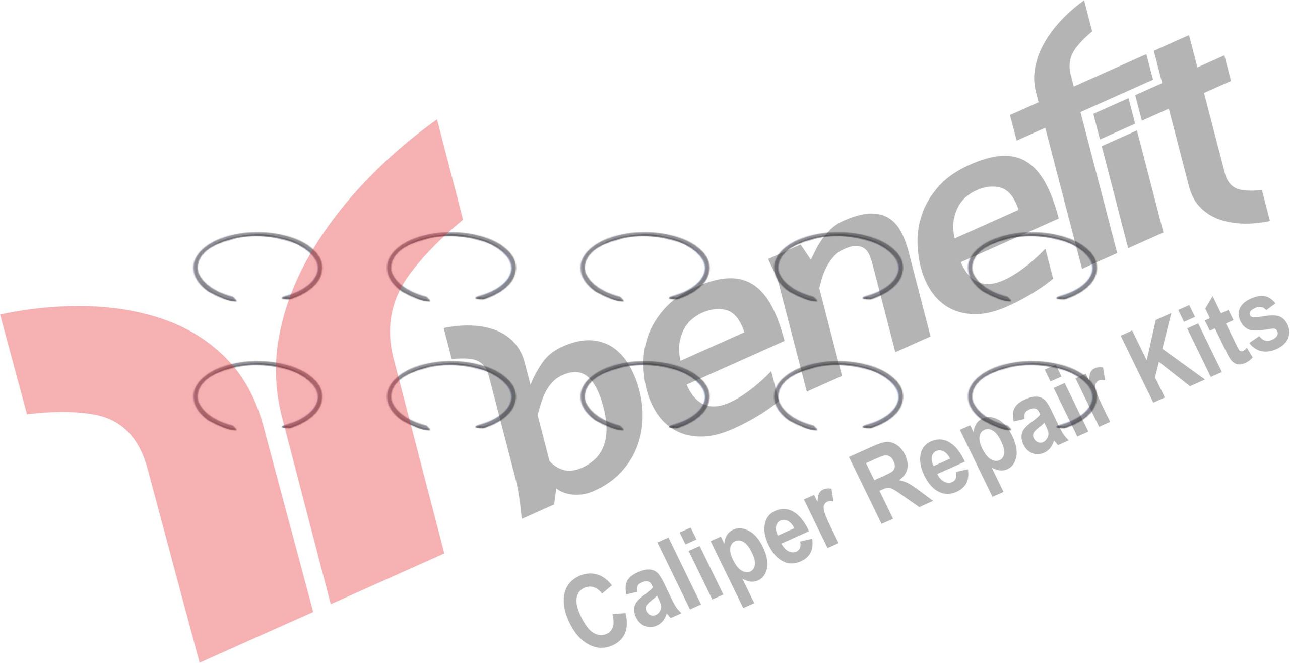 Kaliper Segman Takımı