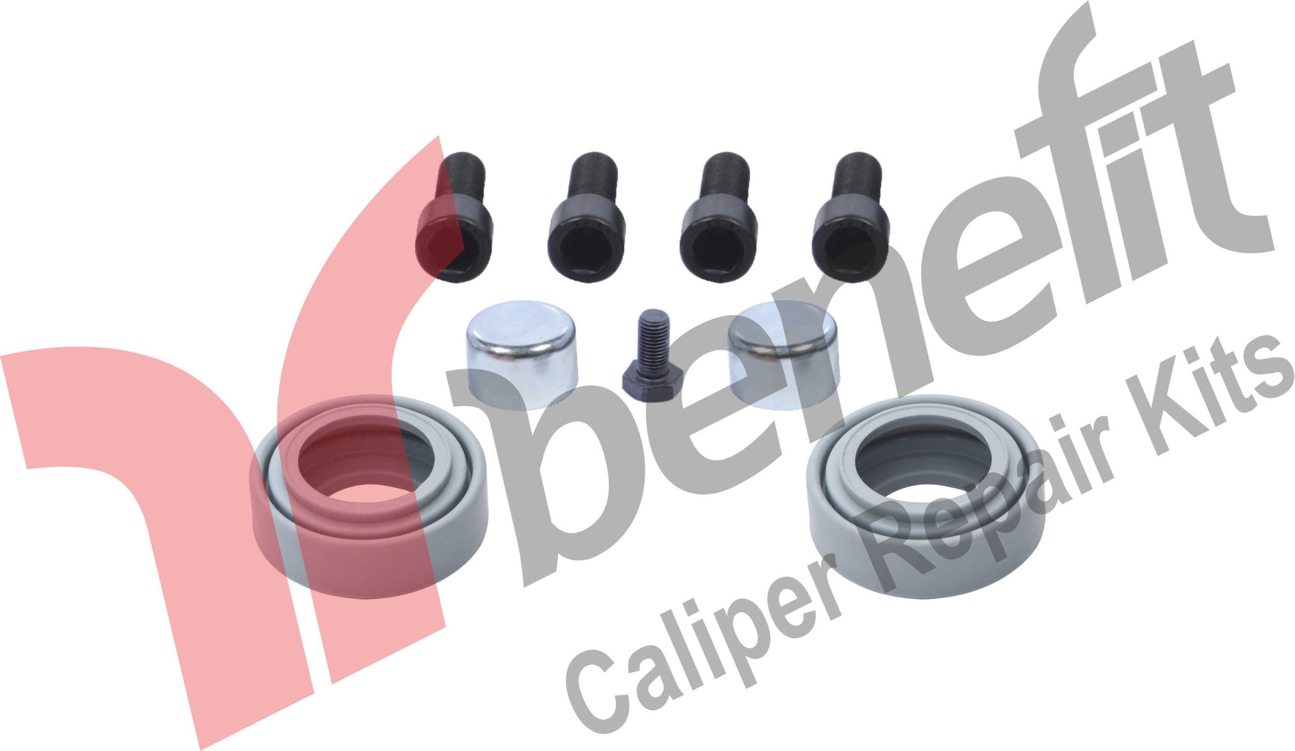 Kaliper Repair Kit