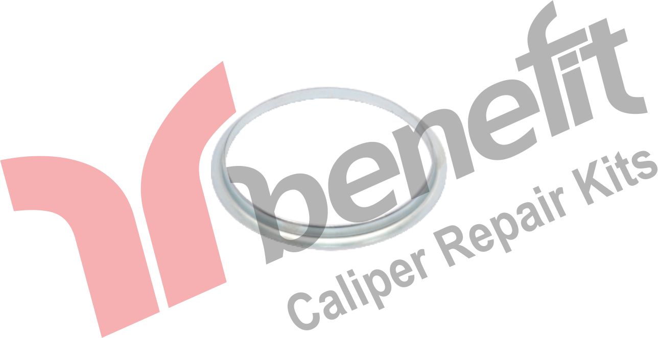 Caliper Ring