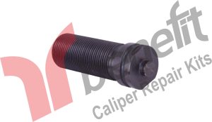 Kaliper Ayar Vidası