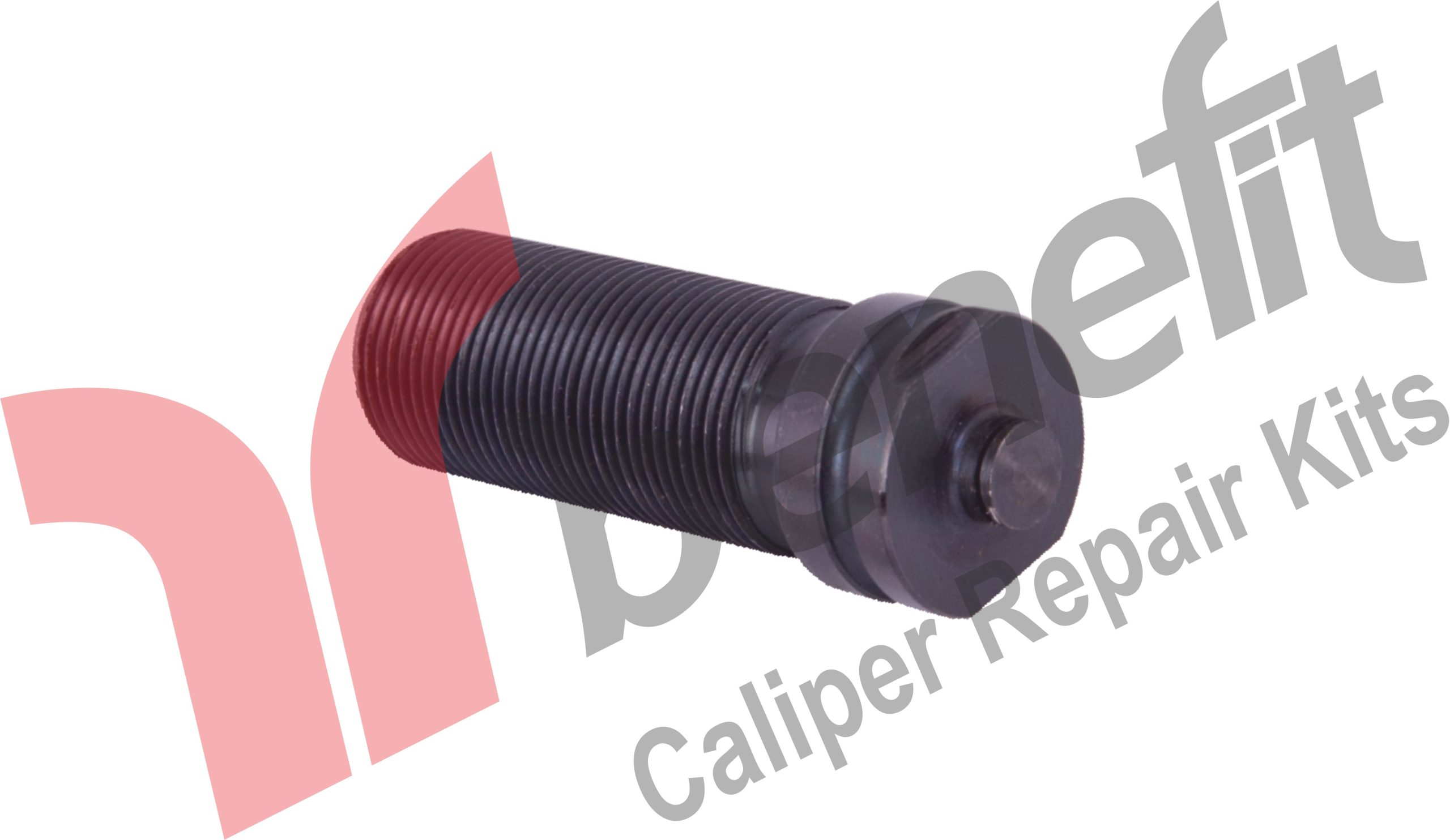 Kaliper Ayar Vidası