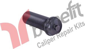 Kaliper Ayar Vidası