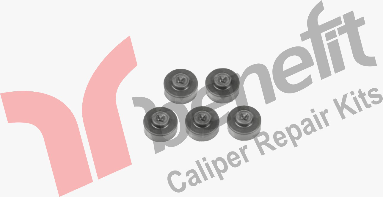 Caliper Repair Kit