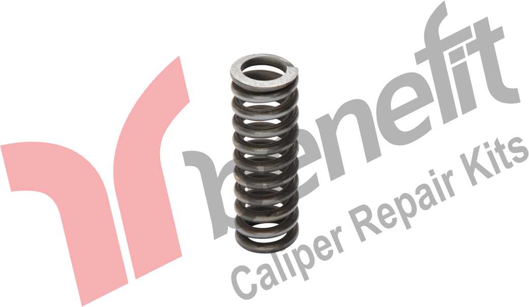 Caliper Spring