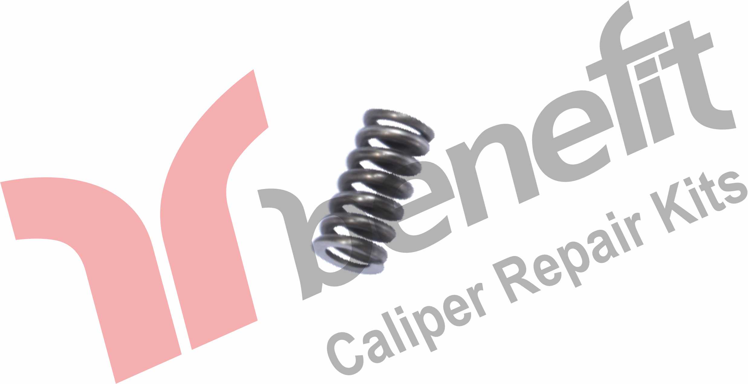 Caliper Spring