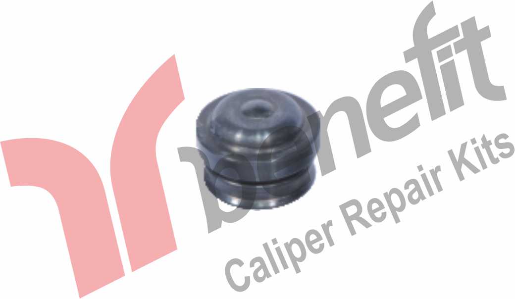 Caliper Seal