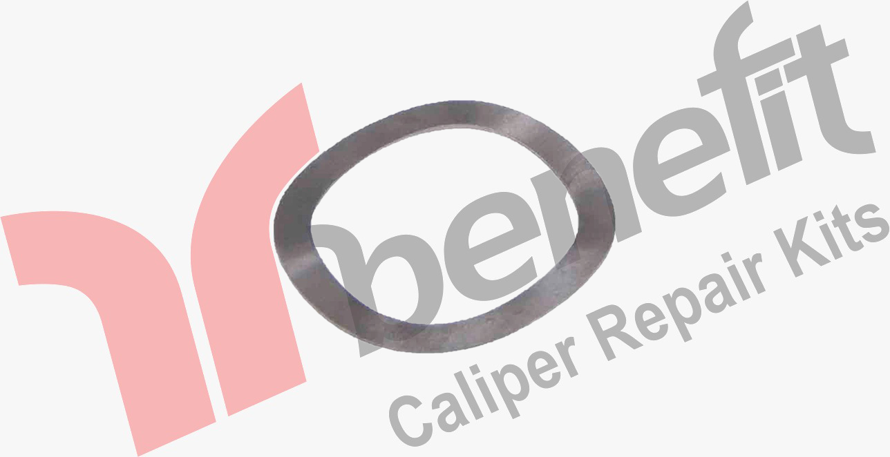 KALİPER DÜRBÜN RAYNELİ