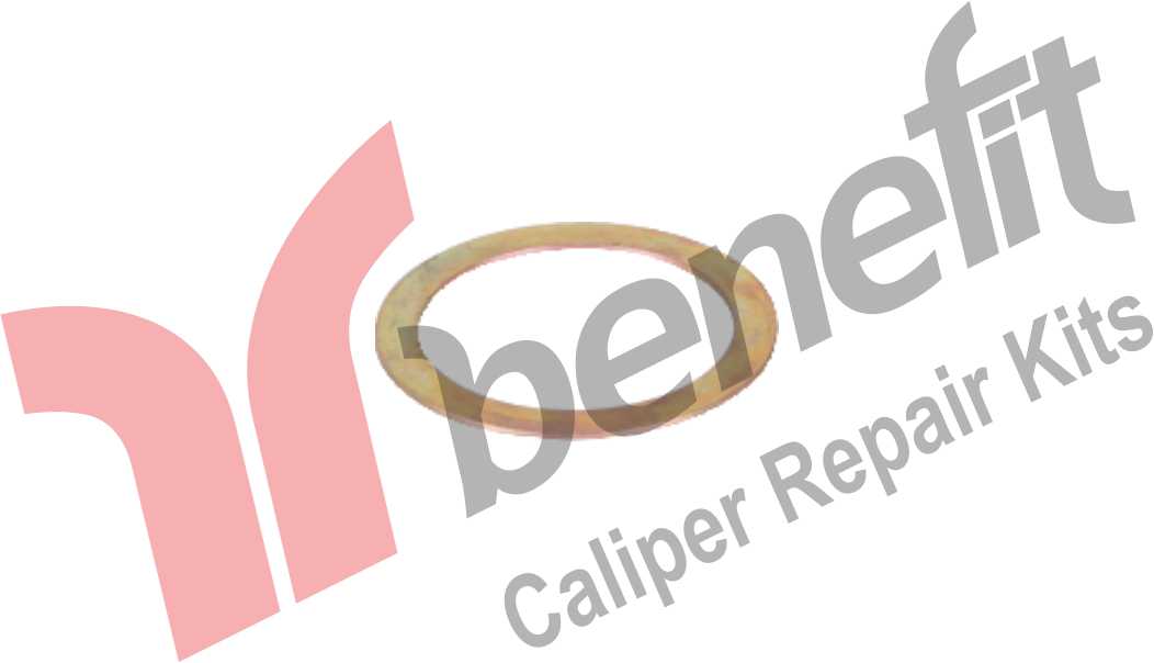 Kaliper Mekizma Pulu