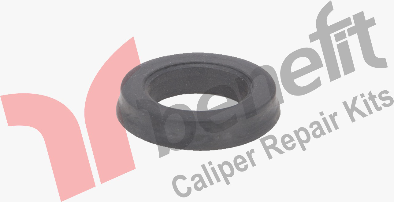 Caliper Seal