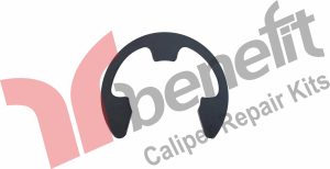 Brembo Kaliper Krank Segmanı