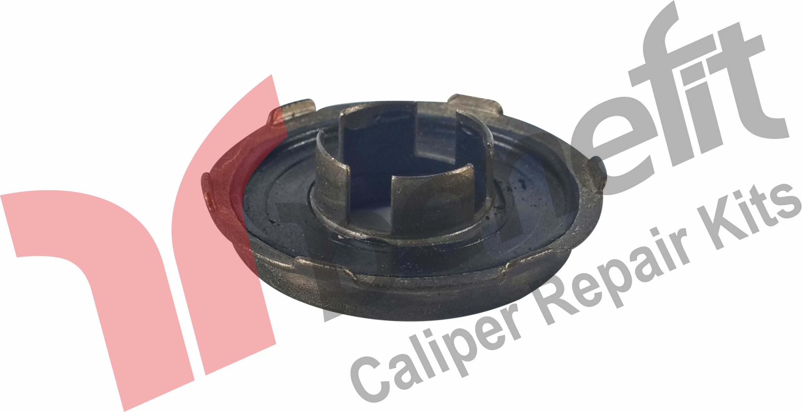 Caliper Seal