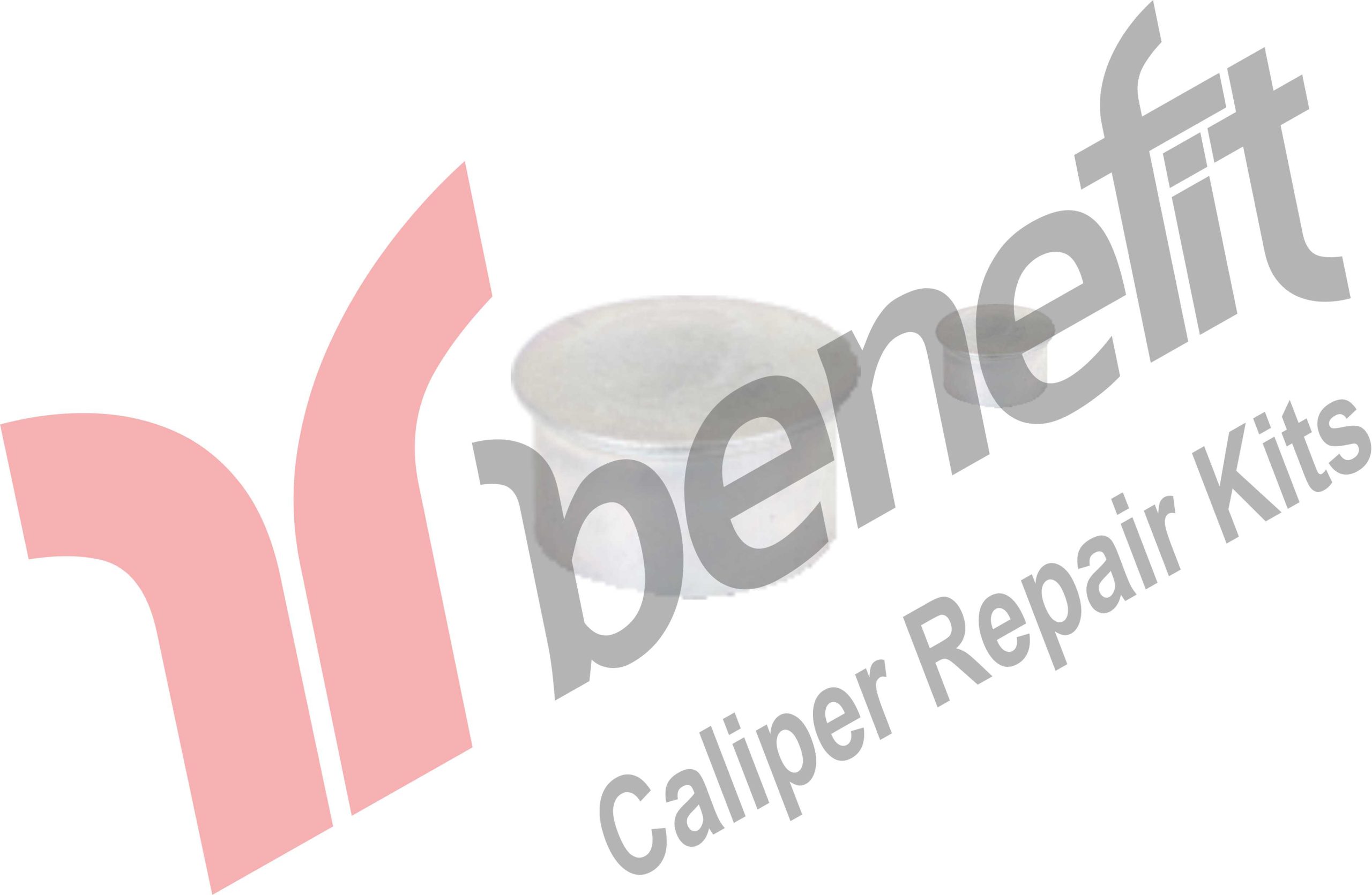 Perno Tapası 22x12mm