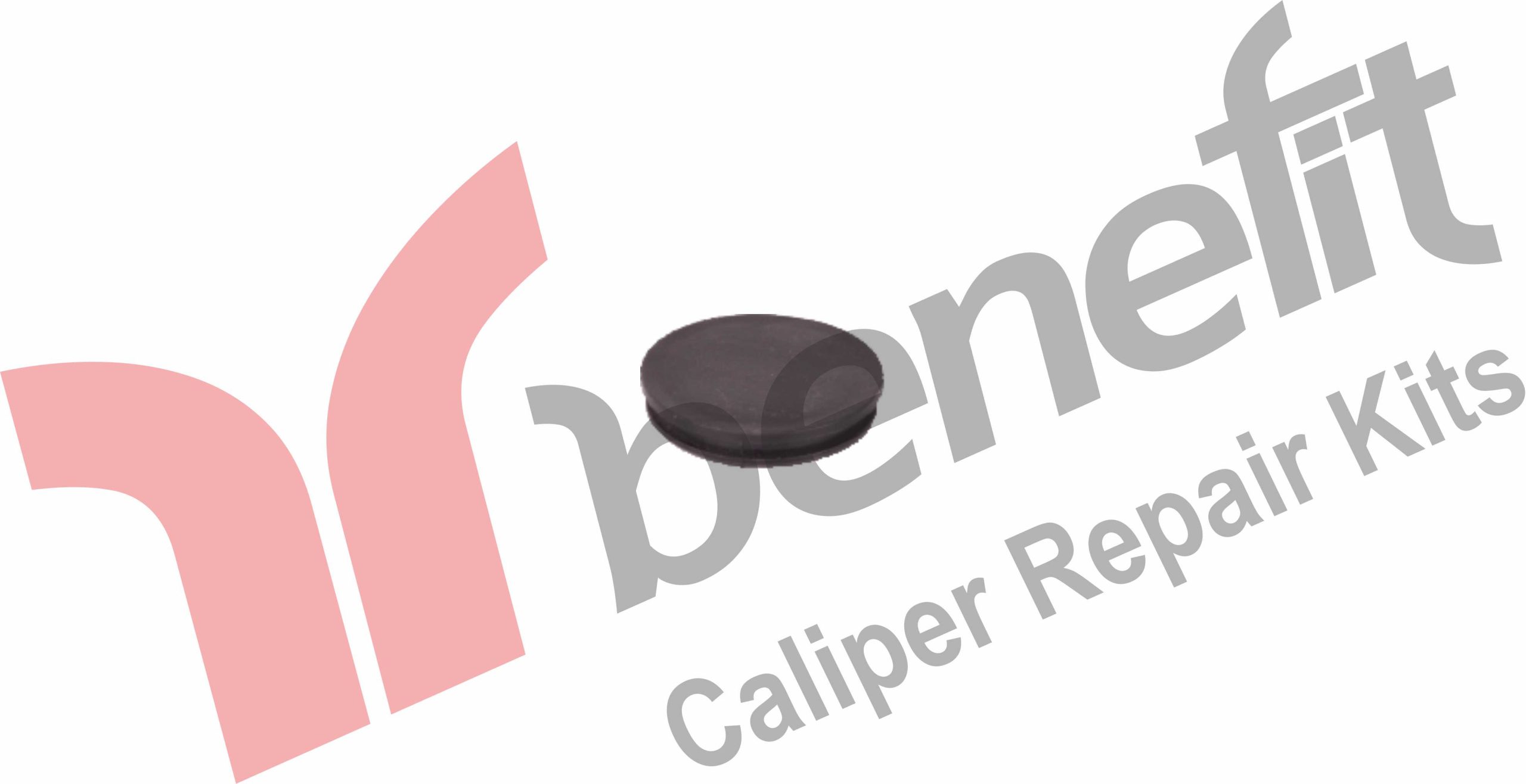 Kaliper Mekanizma Tapası