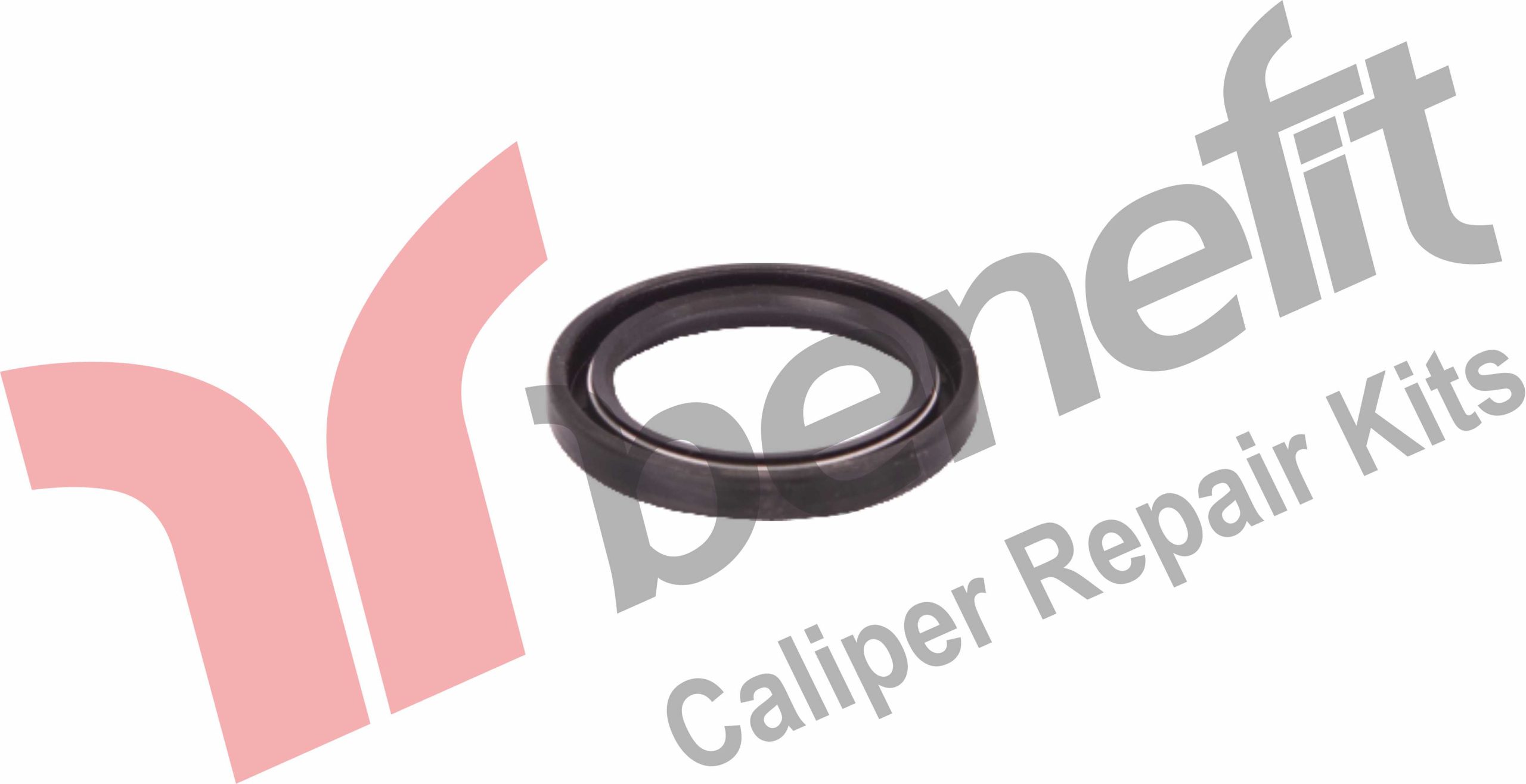 Caliper Mechanism Seal