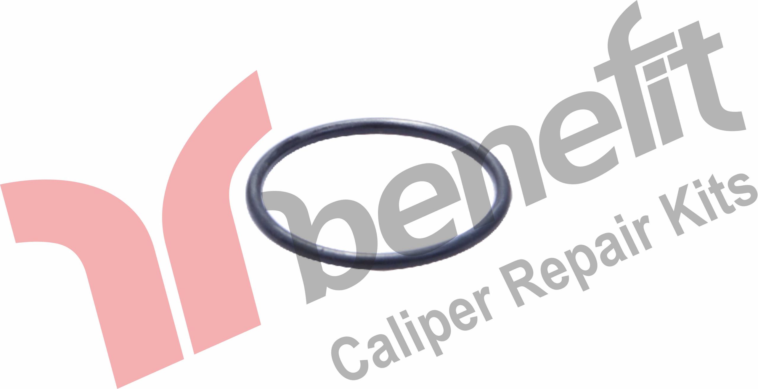 Caliper Mechanism Oring