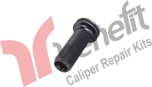 Kaliper Ayar Vidası