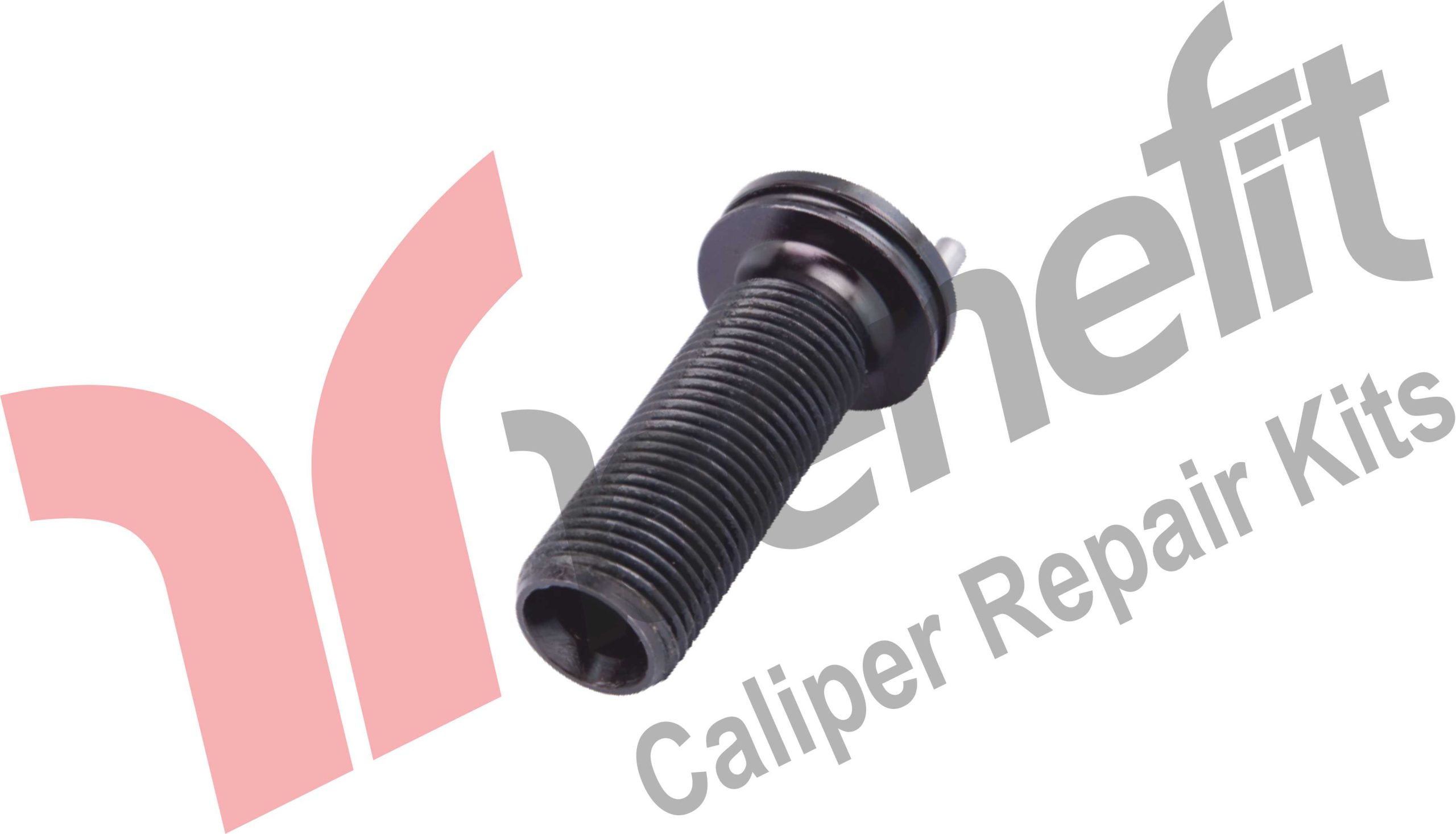 Kaliper Ayar Vidası