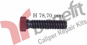 Kaliper Ayar Vidası