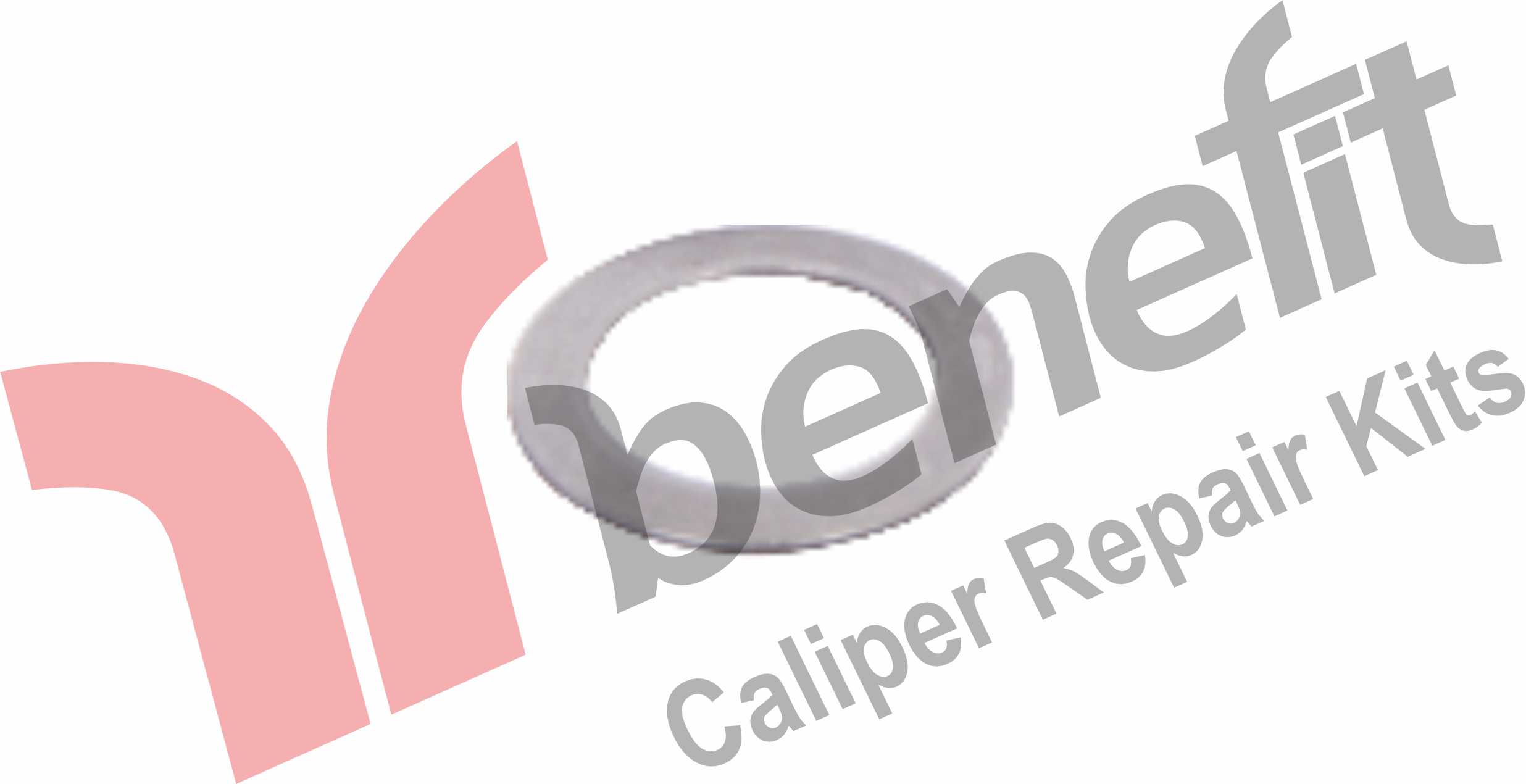 Caliper Washer